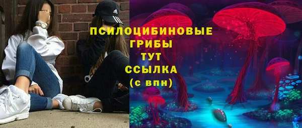 ешки Аркадак