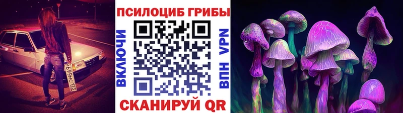 kraken tor  Темрюк  Псилоцибиновые грибы Cubensis 
