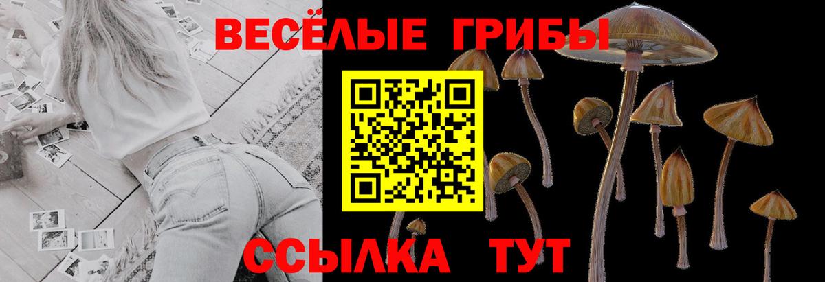 Темрюк  Галлюциногенные грибы Magic Shrooms  Вход с VPN 