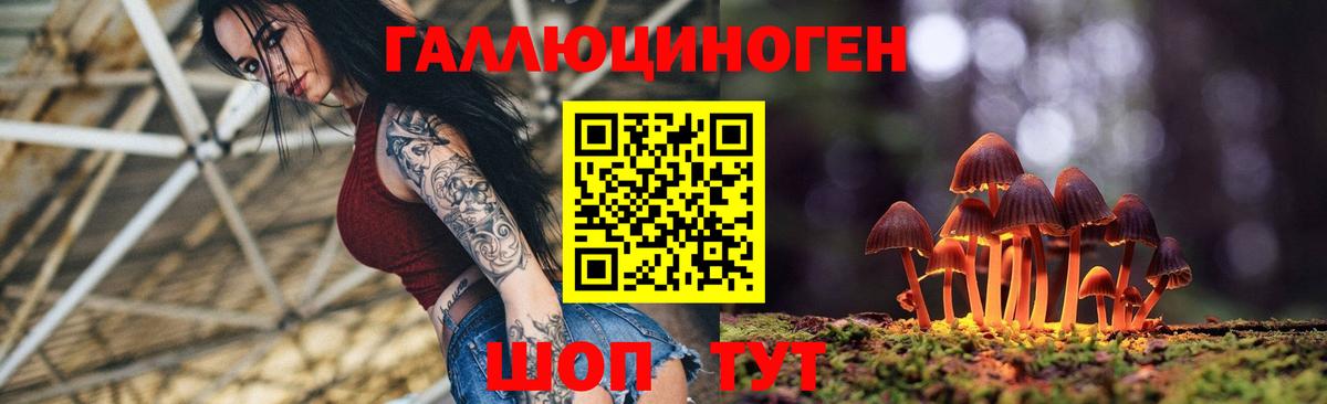 Псилоцибиновые грибы Psilocybe Темрюк